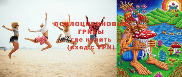 крисы Арсеньев