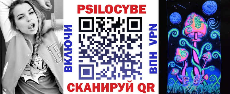 Псилоцибиновые грибы Psilocybe  кракен вход  Кандалакша 